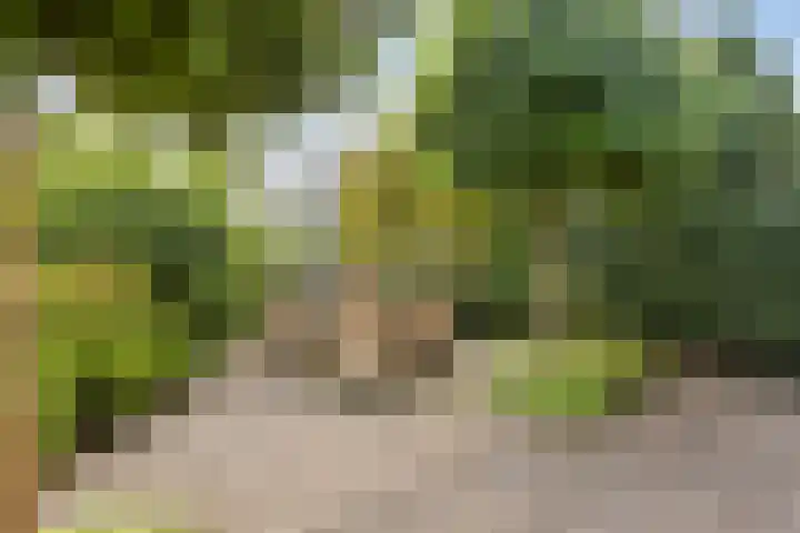 Watermoleneiland 16 Lochem thumbnail 33
