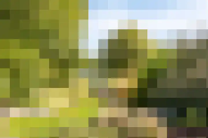 Watermoleneiland 16 Lochem thumbnail 34