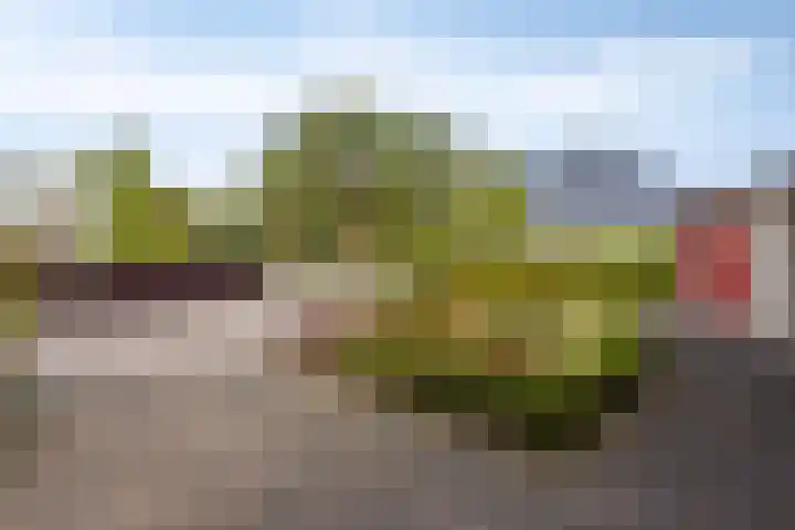 Watermoleneiland 16 Lochem thumbnail 64