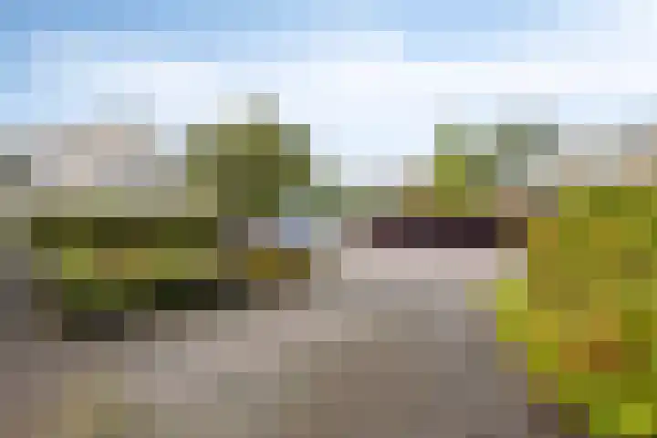Watermoleneiland 16 Lochem thumbnail 65