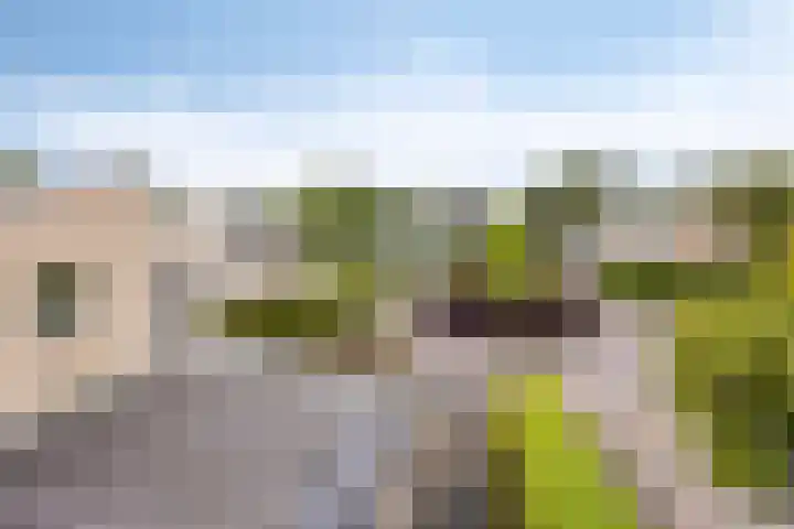 Watermoleneiland 16 Lochem thumbnail 70