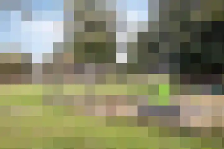 Watermoleneiland 16 Lochem thumbnail 73