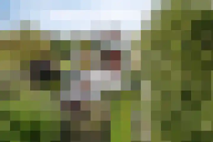 Watermoleneiland 16 Lochem thumbnail 9