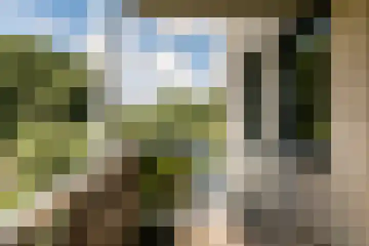 Watermolenplantsoen 2 Haarlem thumbnail 17