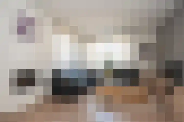 Watermolenstraat 11 Grevenbicht thumbnail 9
