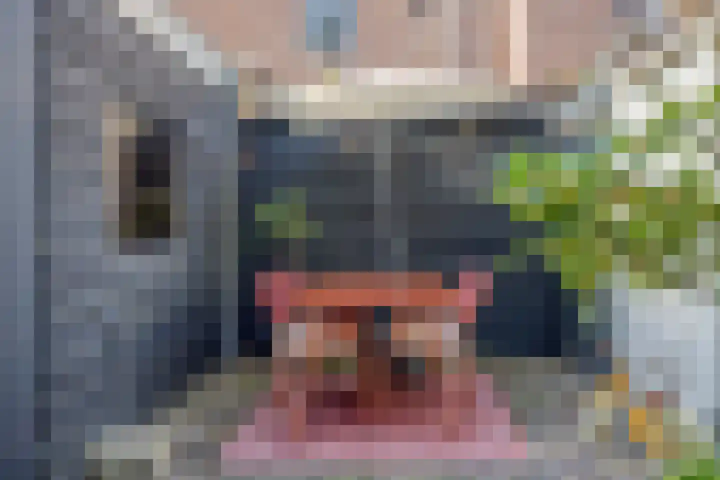 Watermolenwal 5 Helmond thumbnail 30