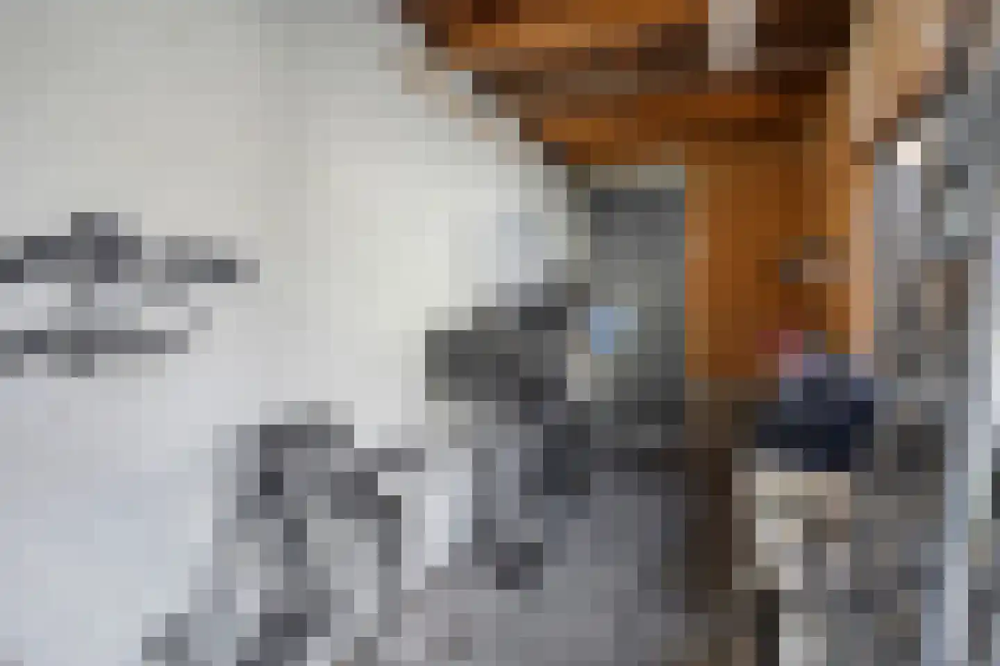 Watermolenwal 5 Helmond thumbnail 33