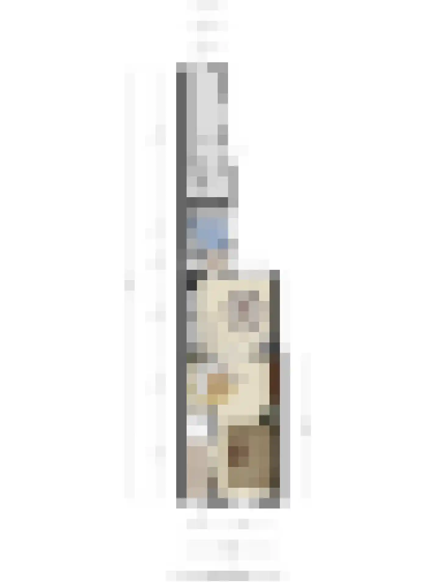 Watermolenwal 5 Helmond thumbnail 43