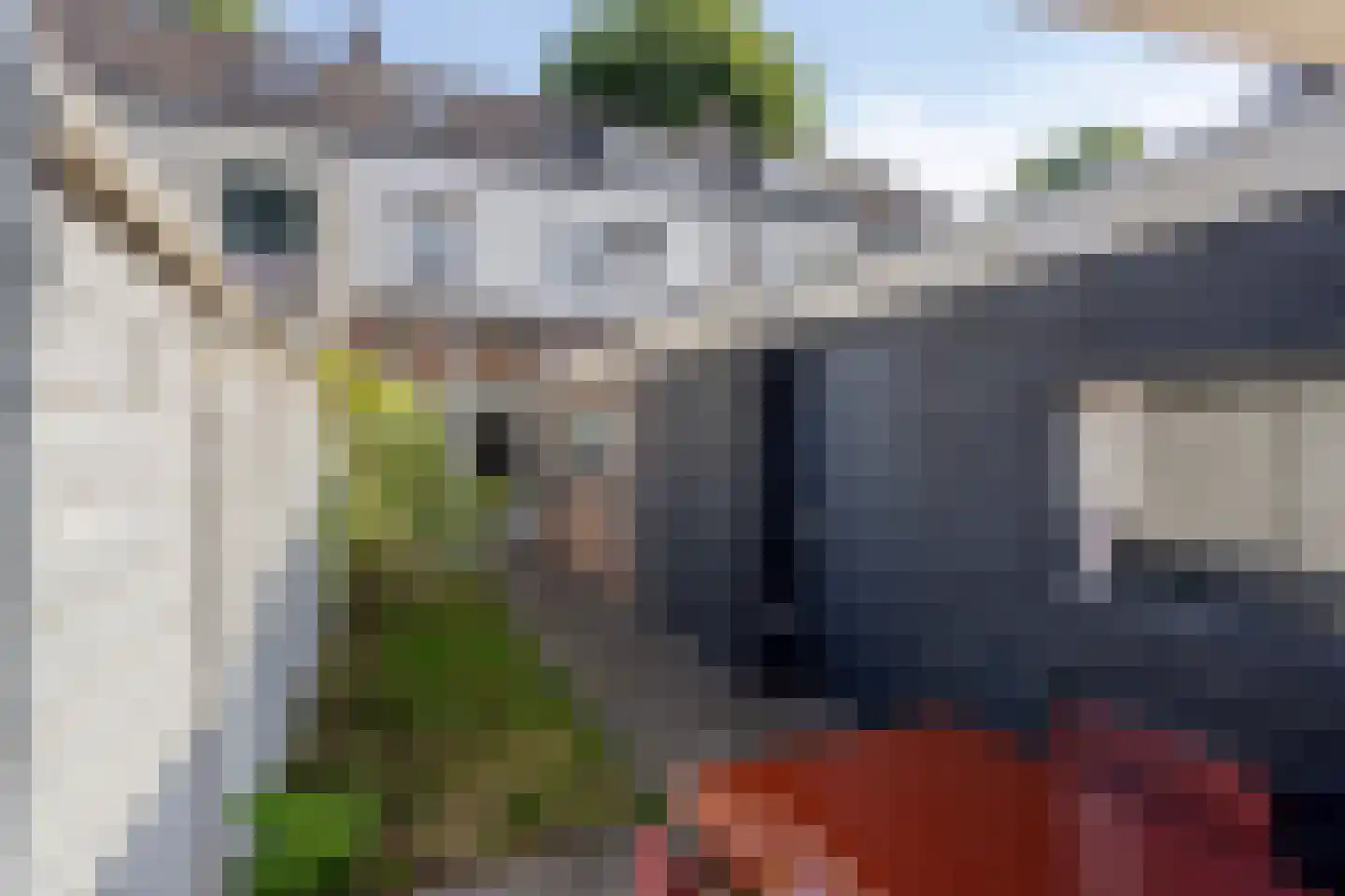 Watermolenwal 5 Helmond thumbnail 6