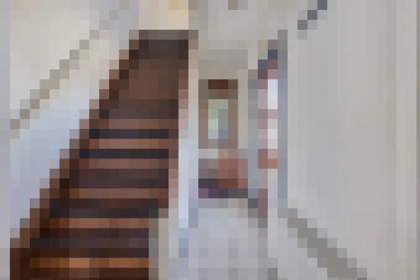 Watermolenweg 10 Erp thumbnail 41