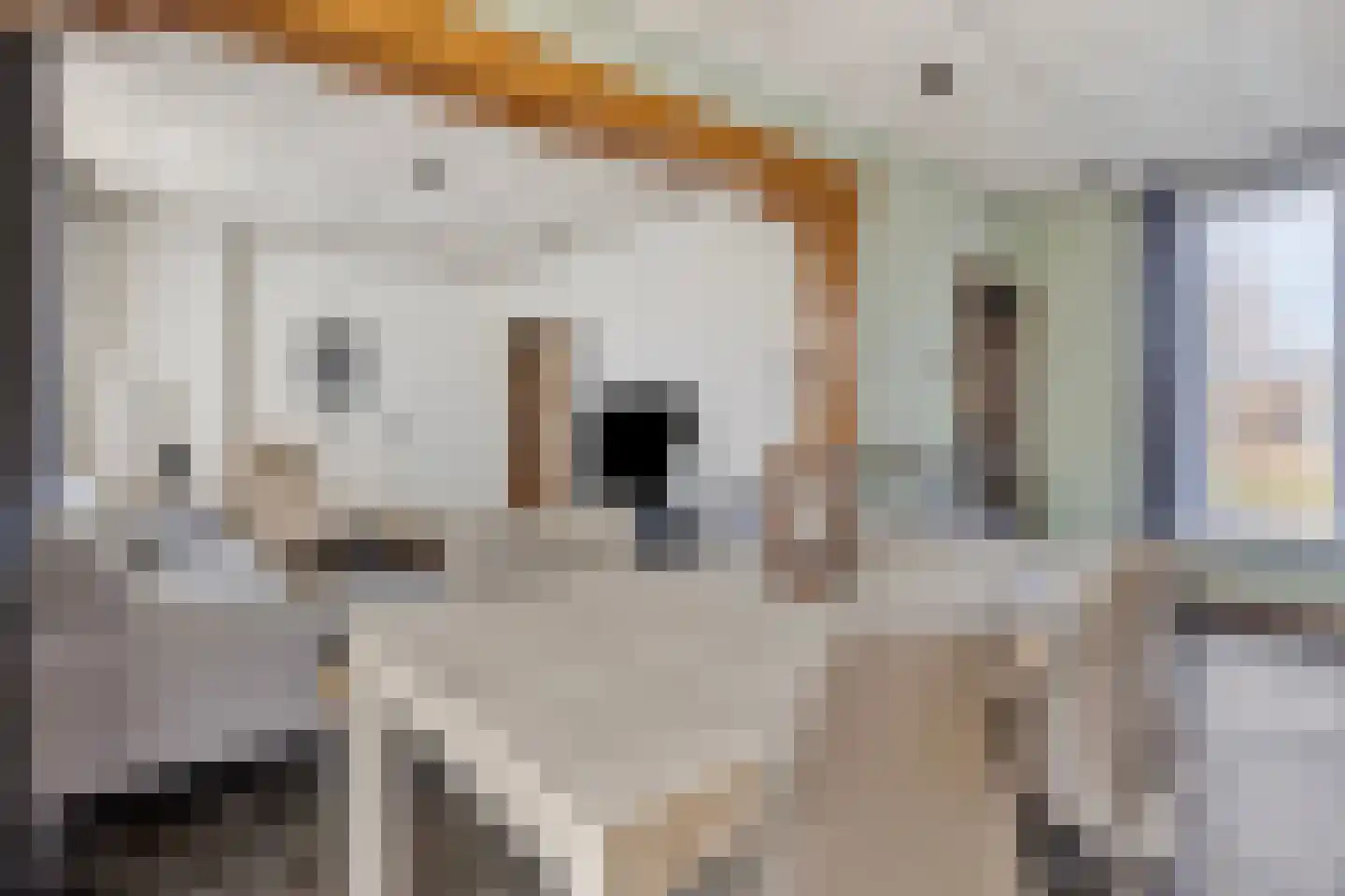Watermolenweg 10 Erp thumbnail 9