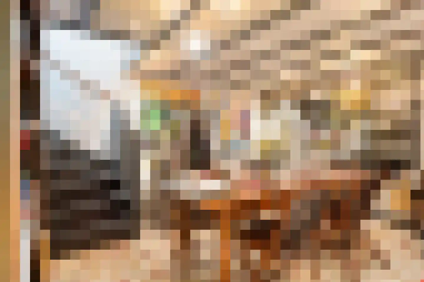 Watermolenweg 18 Erp thumbnail 19