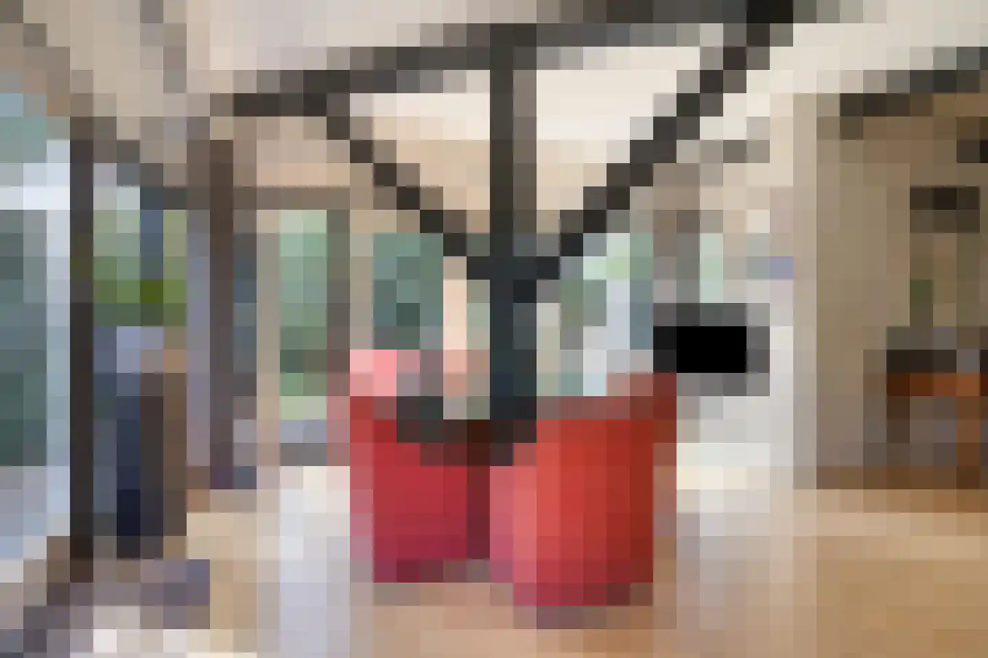 Watermolenweg 18 Erp thumbnail 28