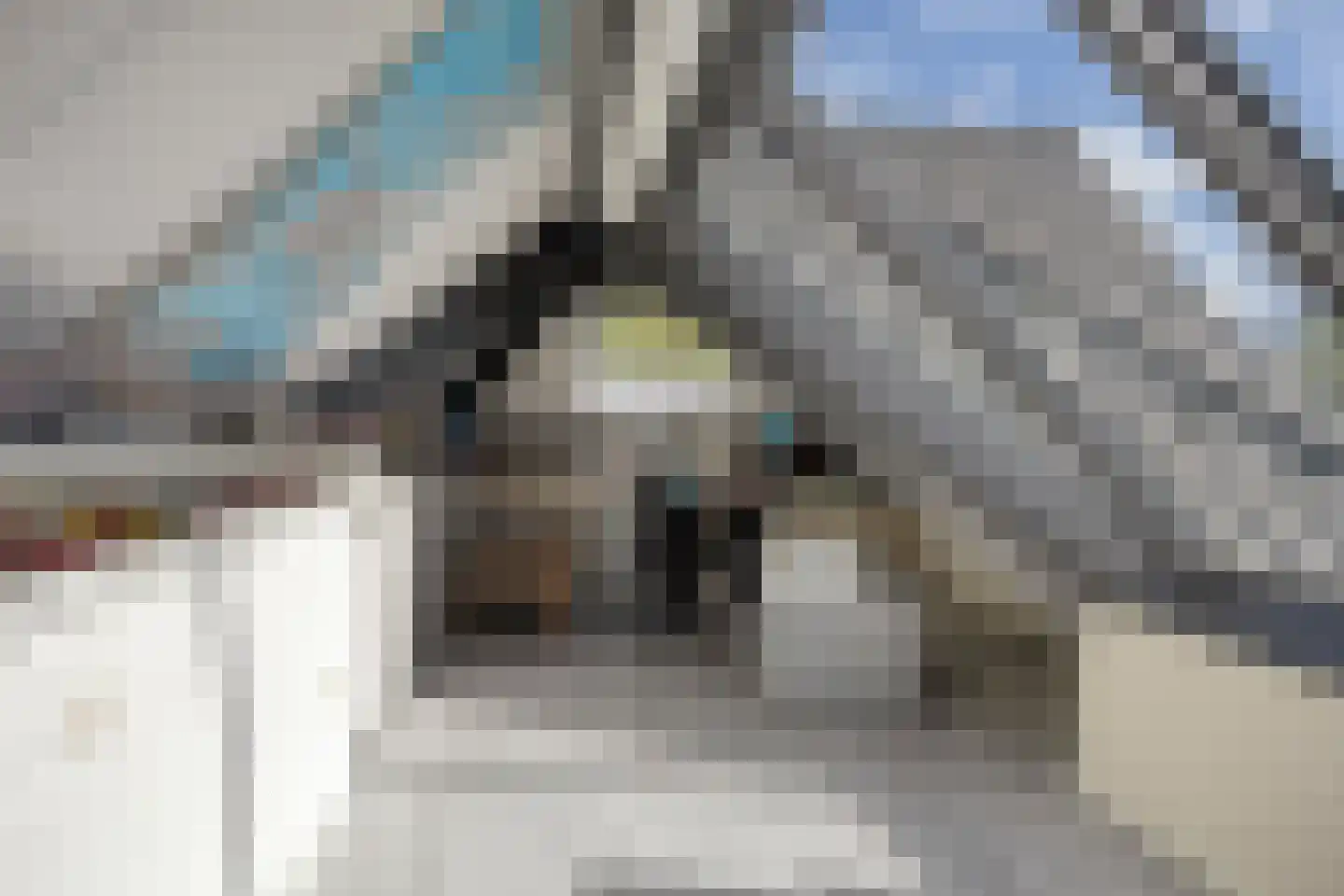 Watermolenweg 18 Erp thumbnail 60
