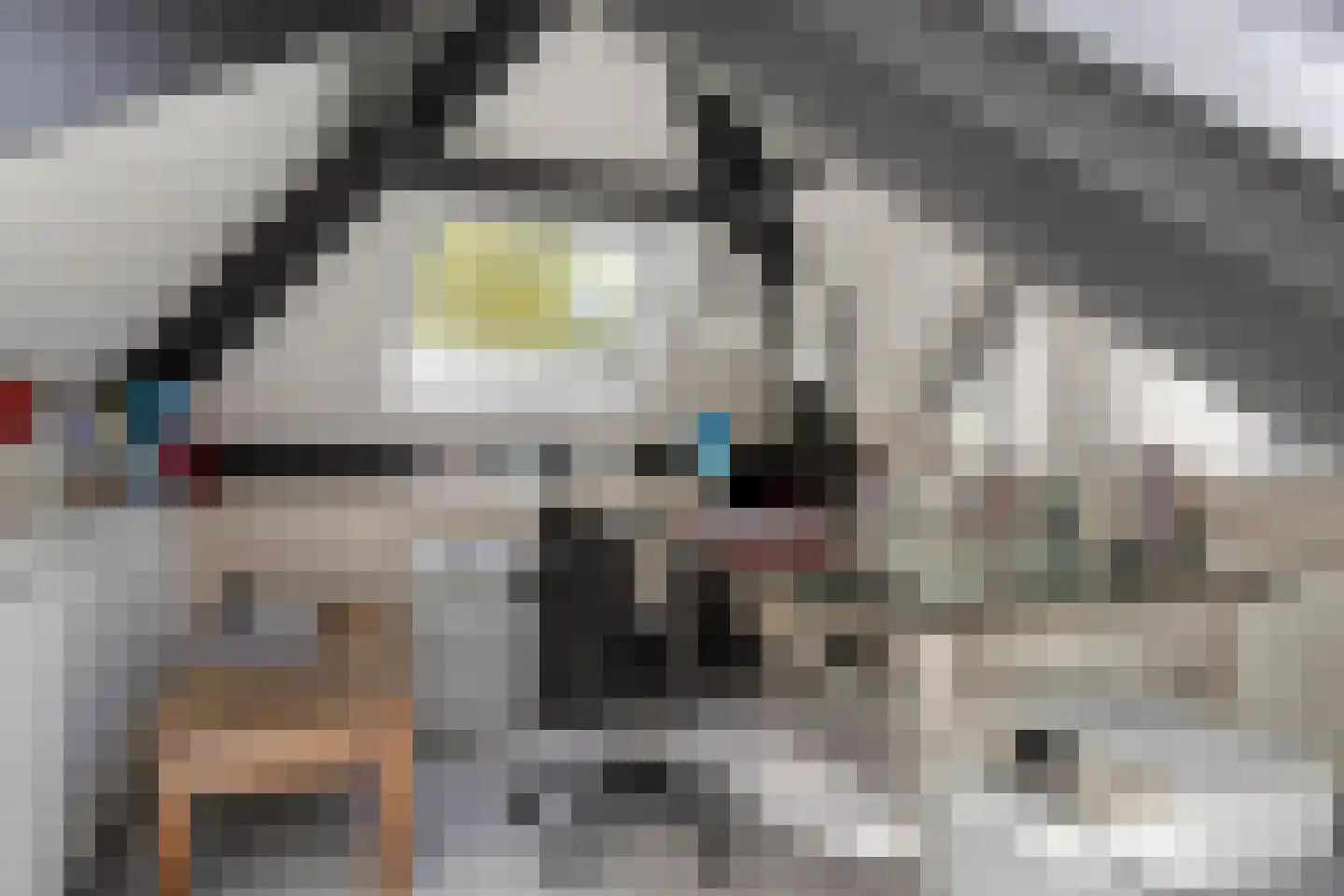 Watermolenweg 18 Erp thumbnail 62