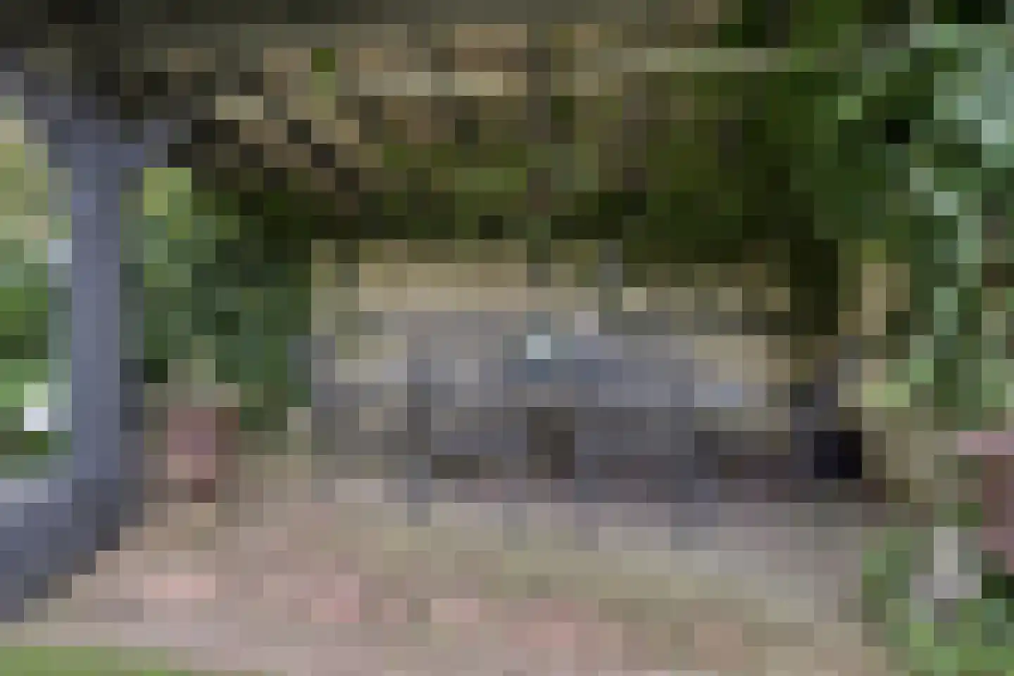 Watermolenweg 18 Erp thumbnail 72