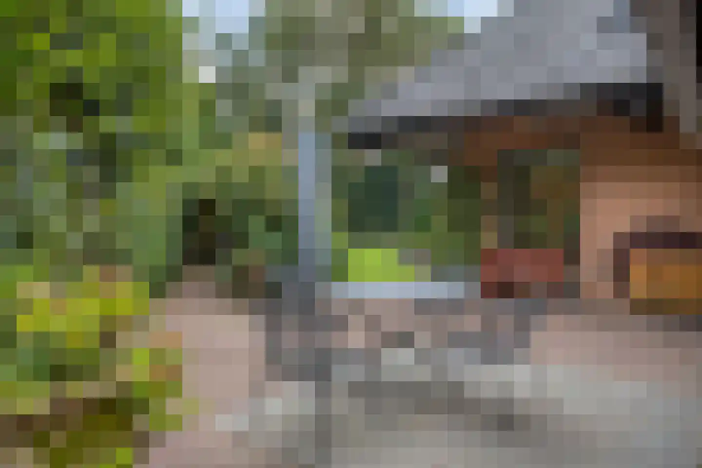Watermolenweg 18 Erp thumbnail 74