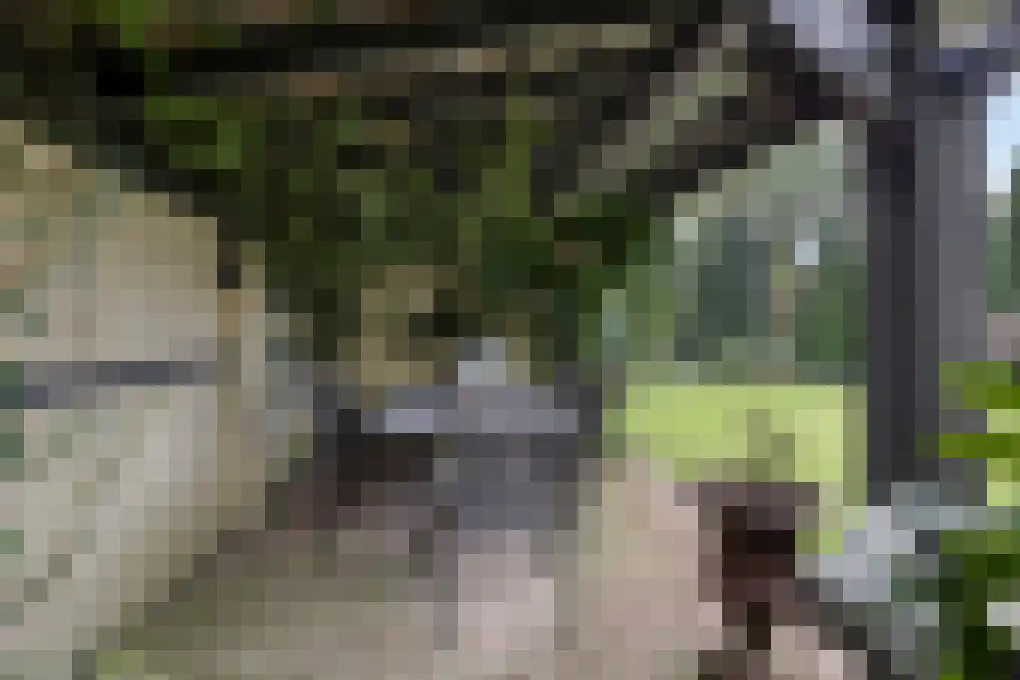 Watermolenweg 18 Erp thumbnail 75