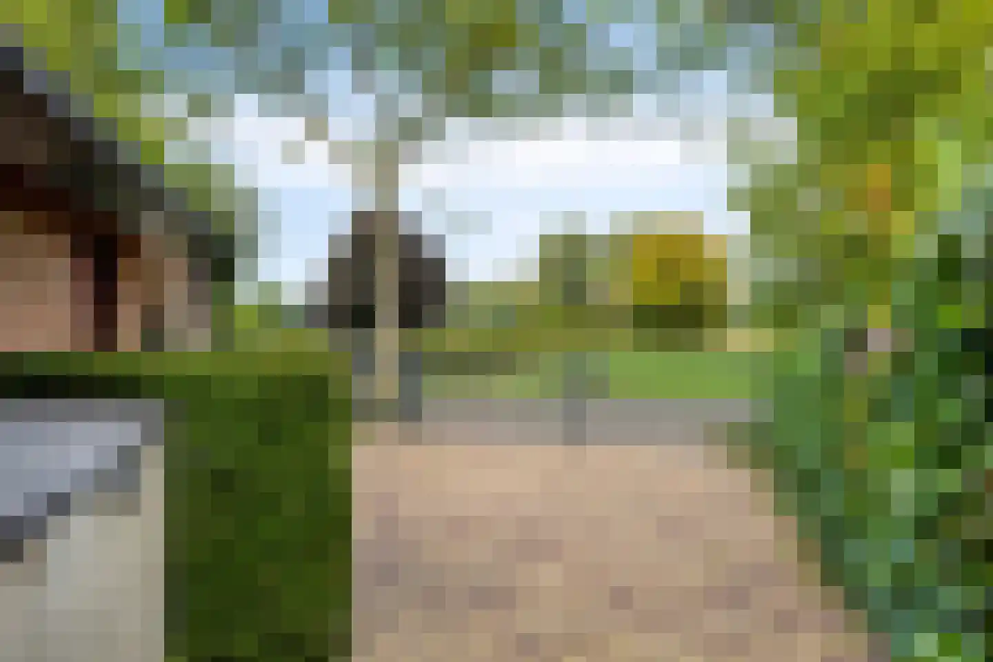 Watermolenweg 18 Erp thumbnail 77