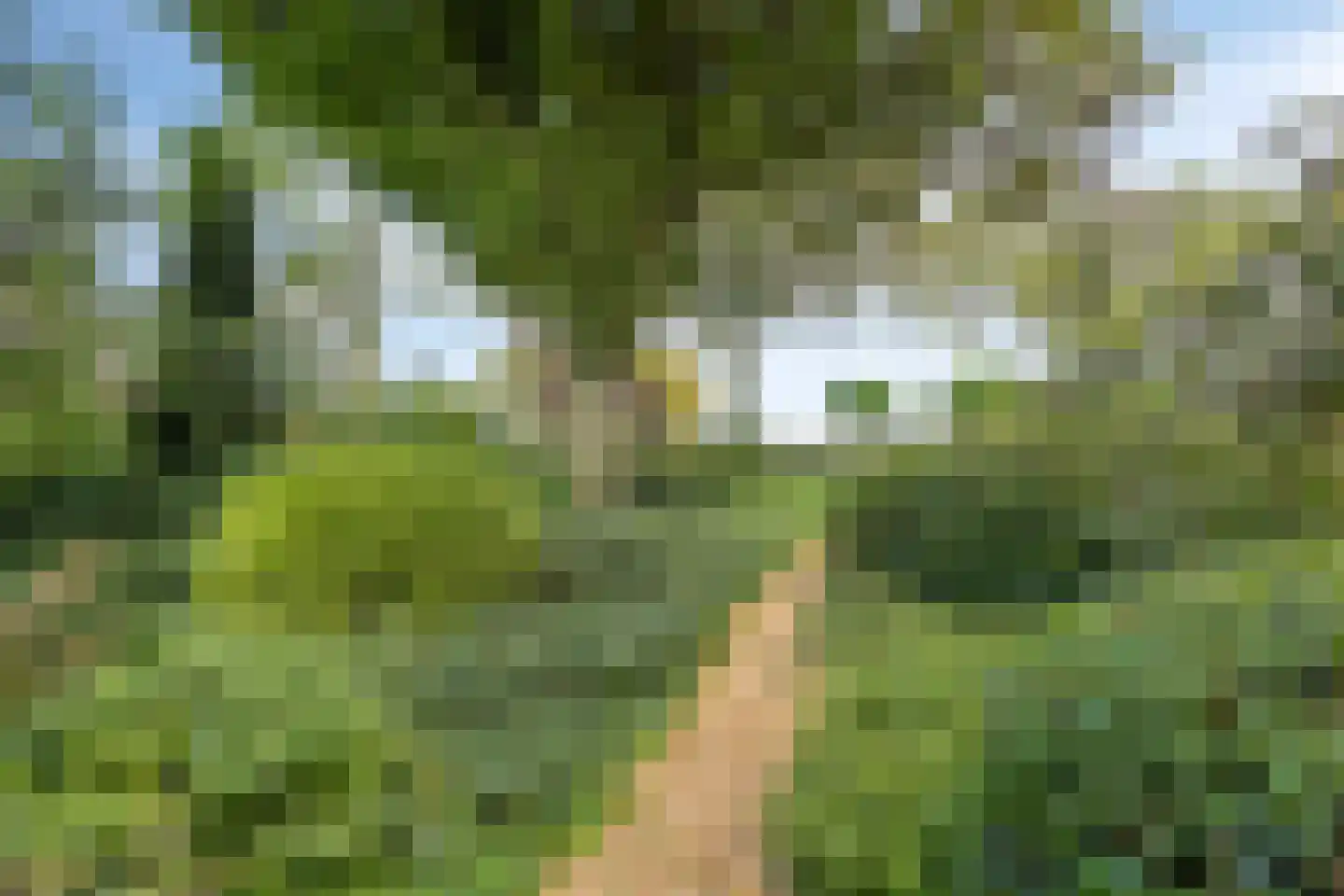 Watermolenweg 18 Erp thumbnail 78