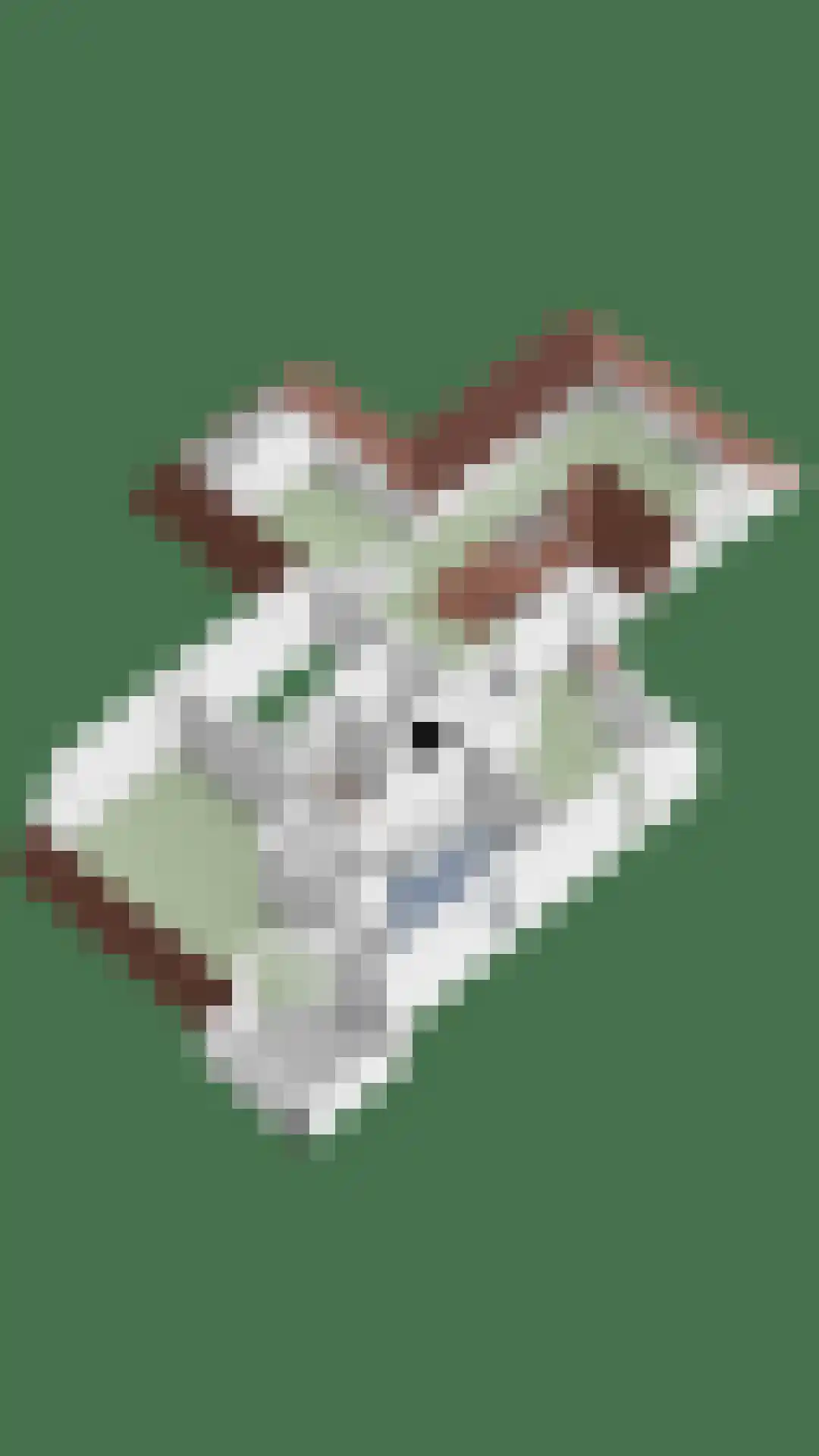 Watermolenweg 18 Erp thumbnail 82