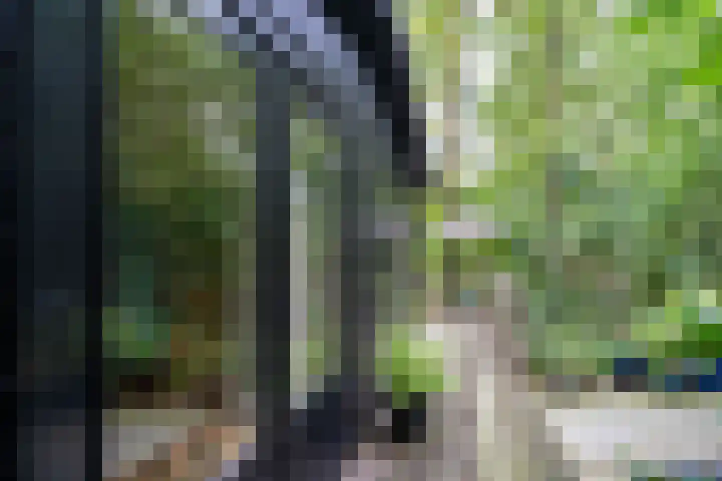 Watermolenweg 2 b Z Haaksbergen thumbnail 39