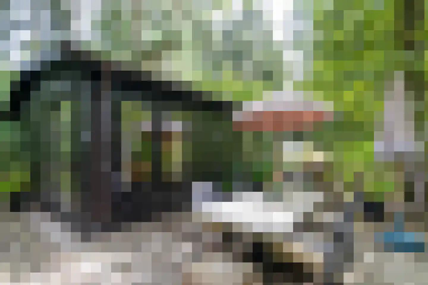 Watermolenweg 2 b Z Haaksbergen thumbnail 40