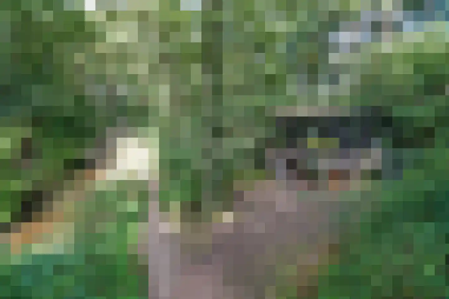 Watermolenweg 2 b Z Haaksbergen thumbnail 42