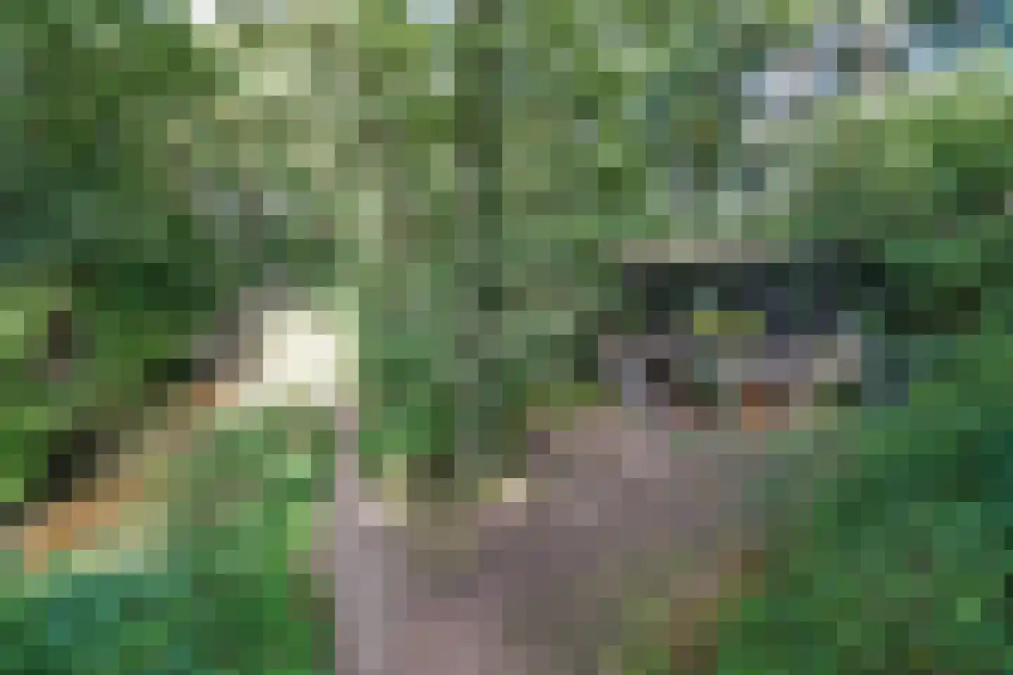 Watermolenweg 2 b Z Haaksbergen thumbnail 43