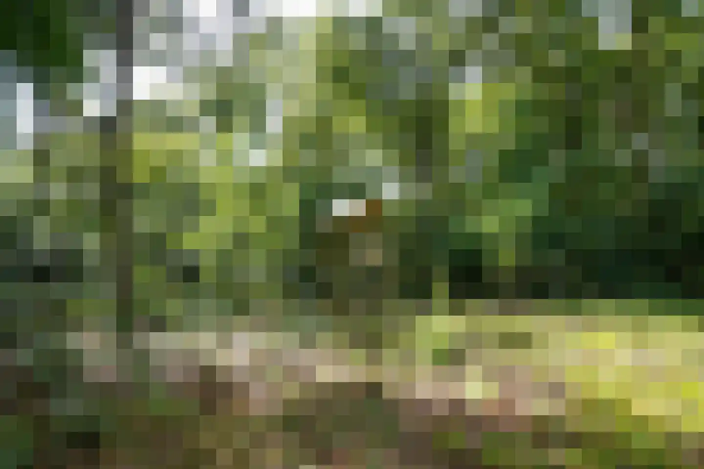 Watermolenweg 2 b Z Haaksbergen thumbnail 43