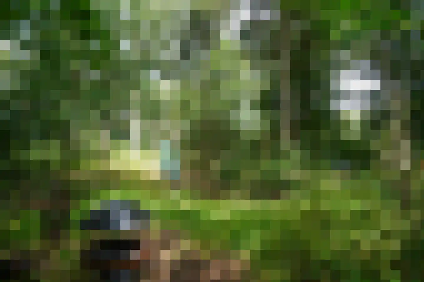 Watermolenweg 2 b Z Haaksbergen thumbnail 44