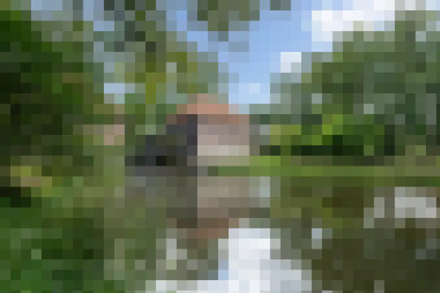 Watermolenweg 2 b Z Haaksbergen thumbnail 45