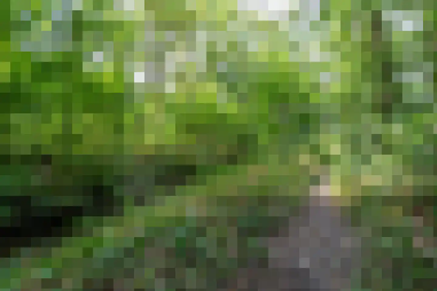 Watermolenweg 2 b Z Haaksbergen thumbnail 46