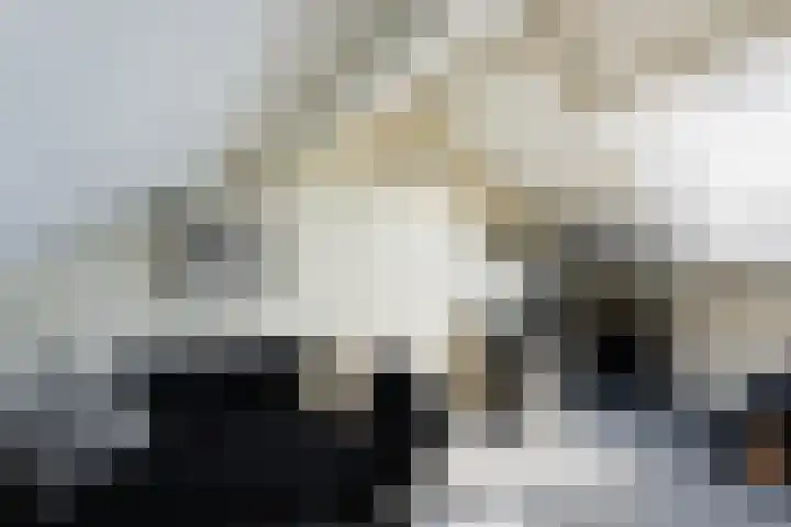 Watermuldersweg 18 Leek thumbnail 33
