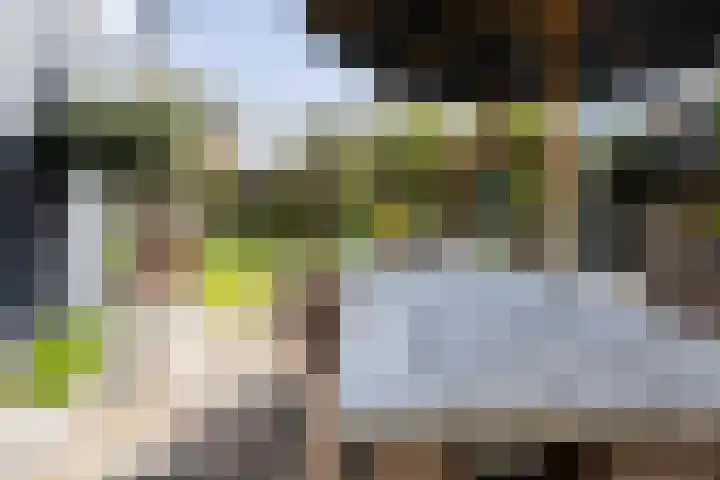 Watermuldersweg 18 Leek thumbnail 34