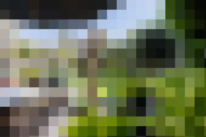 Watermuldersweg 18 Leek thumbnail 35