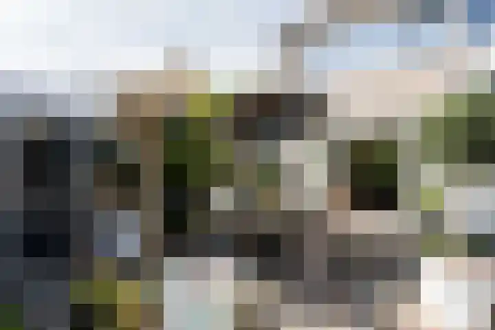 Watermuldersweg 18 Leek thumbnail 36