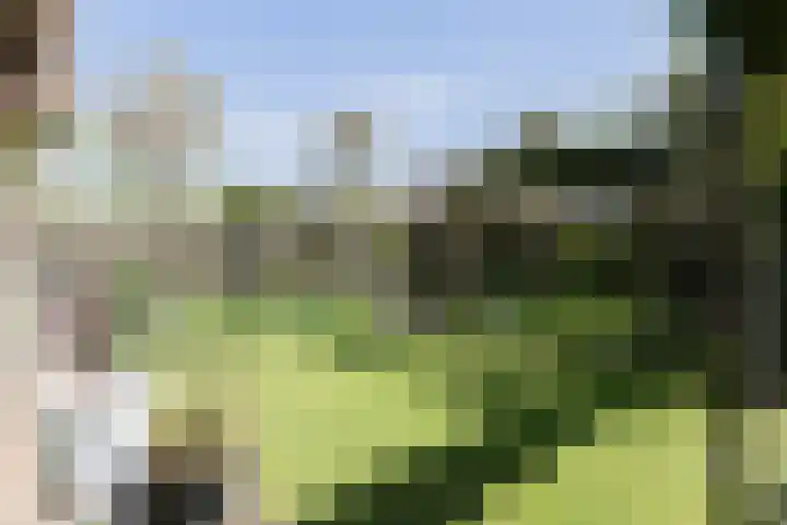 Watermuldersweg 18 Leek thumbnail 37