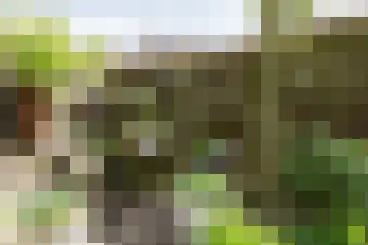 Watermuldersweg 18 Leek thumbnail 38