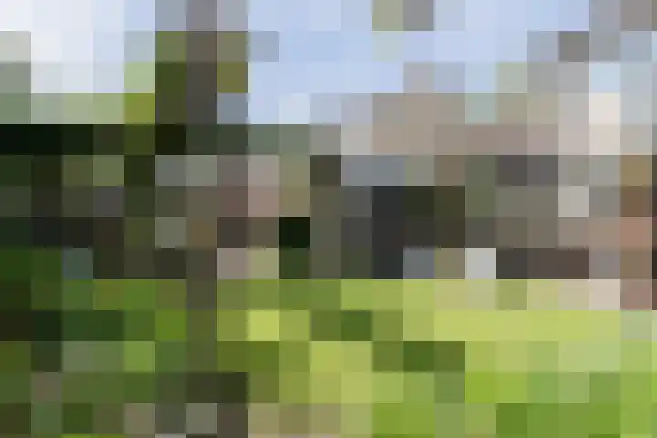 Watermuldersweg 18 Leek thumbnail 39