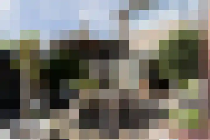 Watermuldersweg 18 Leek thumbnail 4