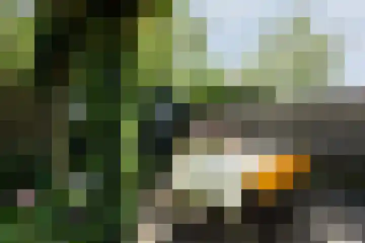 Watermuldersweg 18 Leek thumbnail 41