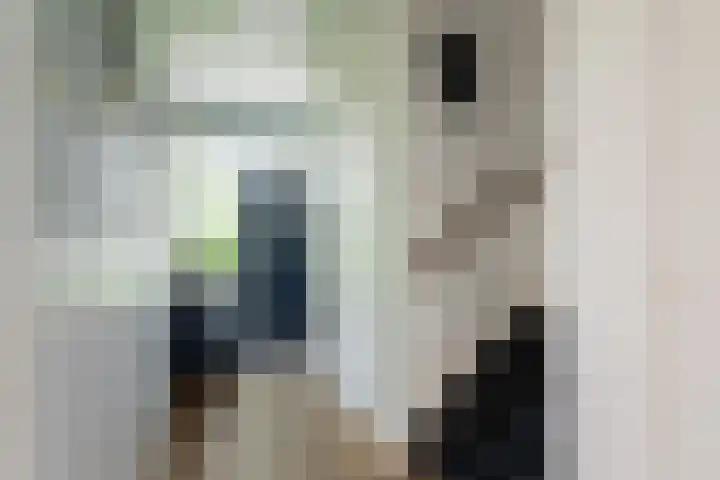 Watermuldersweg 18 Leek thumbnail 6