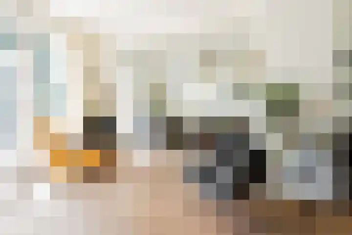Watermuldersweg 18 Leek thumbnail 7