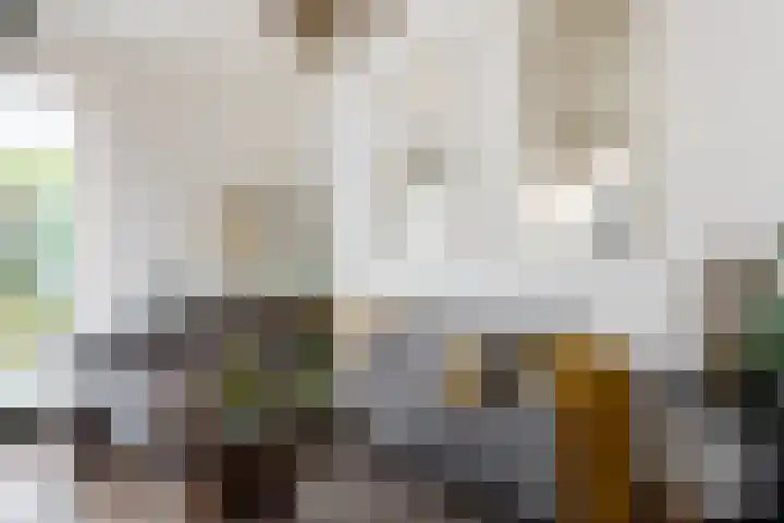 Watermuldersweg 18 Leek thumbnail 9