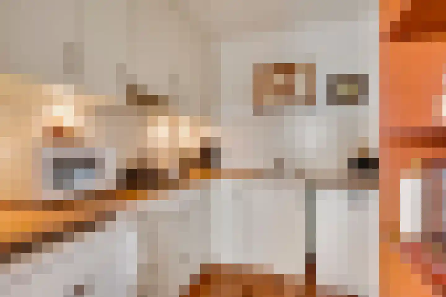 Watermunt 1 Tegelen thumbnail 14