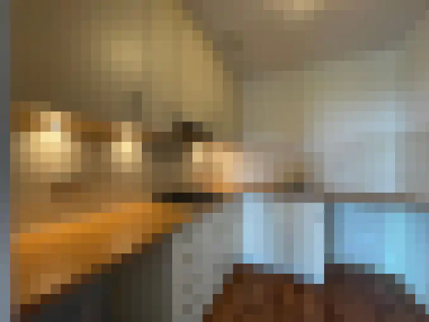 Watermunt 1 Tegelen thumbnail 15