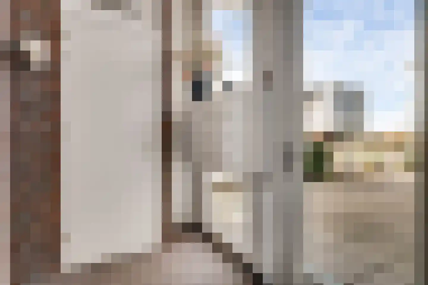Watermunt 1 Tegelen thumbnail 7