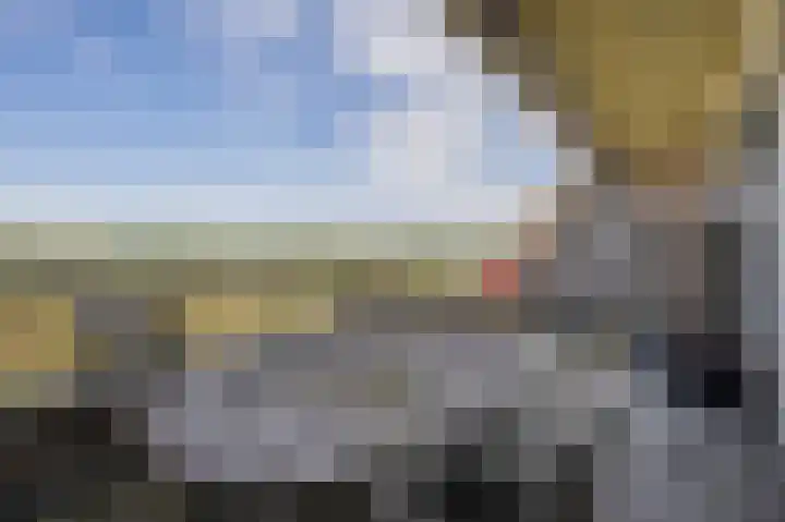 Watermunt 100 Tegelen thumbnail 15