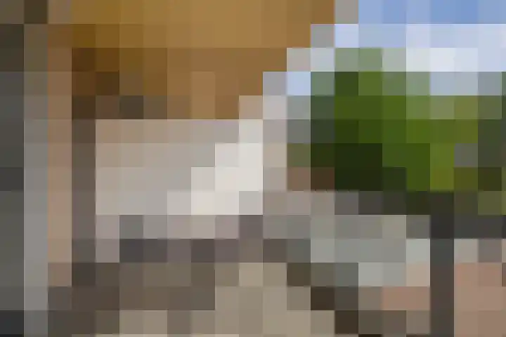 Watermunt 100 Tegelen thumbnail 23